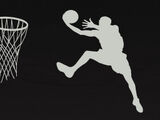 [Women's Basketball] Basketball Women's National Team Kashiwa Akatsuki Five Team Player Information